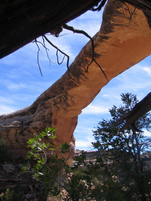 a natural bridge in the white sandstone.