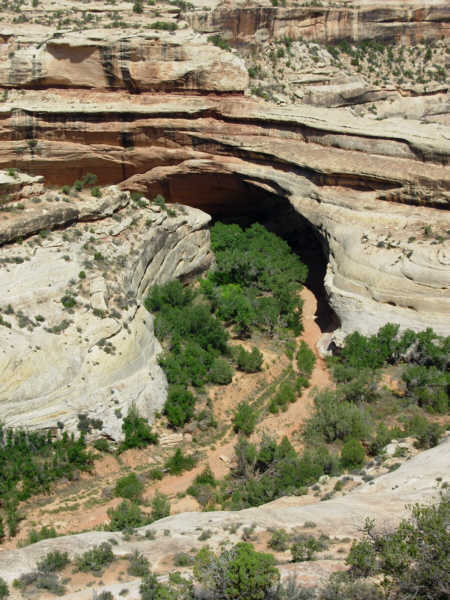 a natural bridge in the white sandstone.