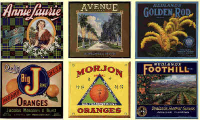 Some colorful orange labels.