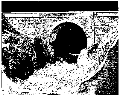 The 40 ft. Stone Arch Bridge. Black and white photo showing a single arch spanning a gorge.