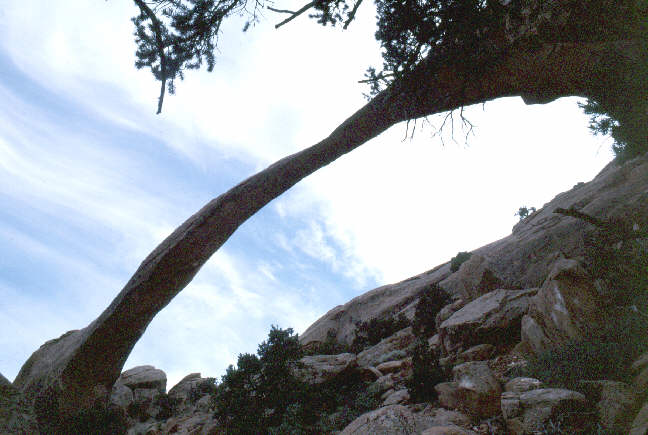 Landscape Arch.