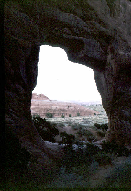 Pinetree Arch.