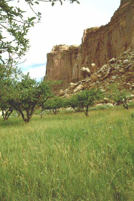 Fruita.