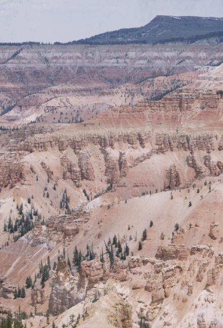 Navajo Bridges