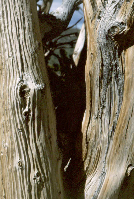 close-up.