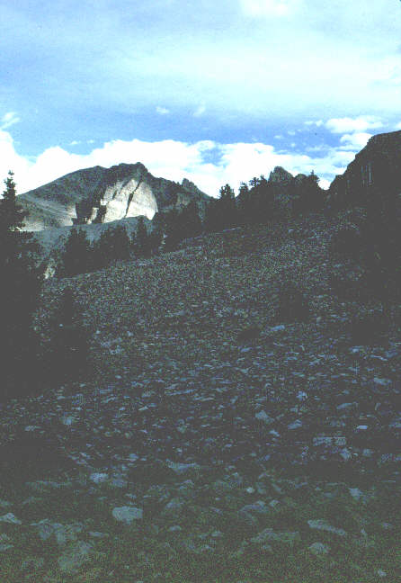 rocks.