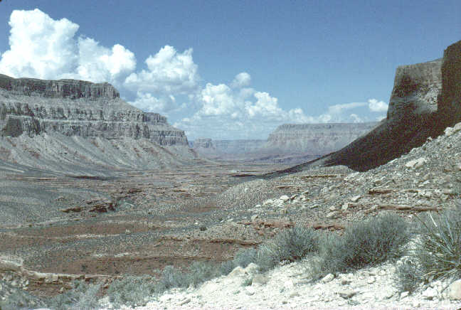 grand expanse of Havasu Canyon, a finger of the Grand Canyon, is a mile or two wide and maybe sixteen miles to the Colorado River. Puffy white clouds dot the blue sky.