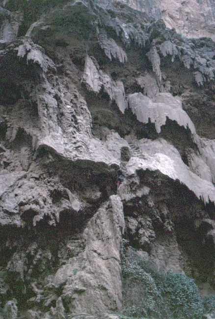 layers of strange fins.