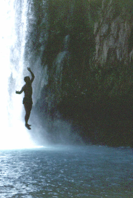 Rooti diving into the water.
