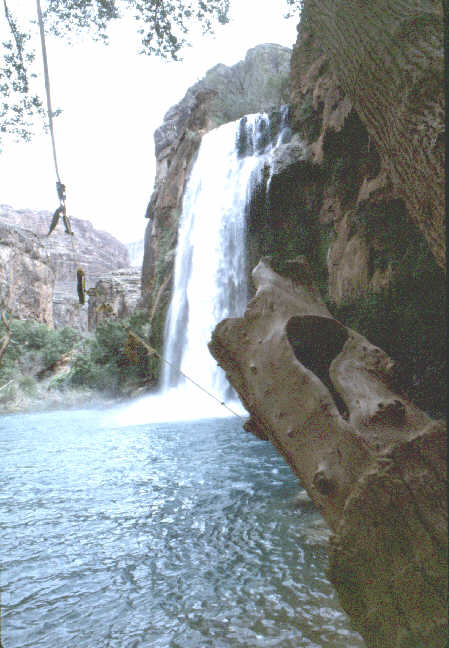 A large tree right by the base of the falls supports a rope swing.