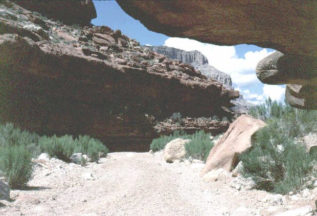 Havasu trail.