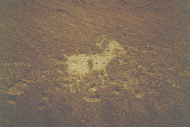rock drawings