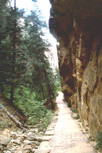 Angel's Landing Zion Canyon.