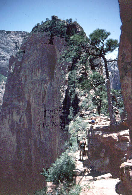 Angel's Landing Zion Canyon.