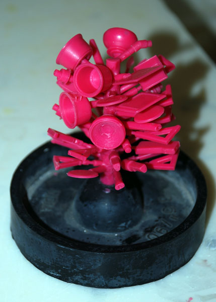wax tree 429 x 600
